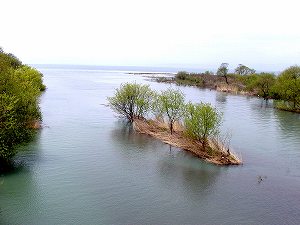 20100428tenjyo (10).jpg